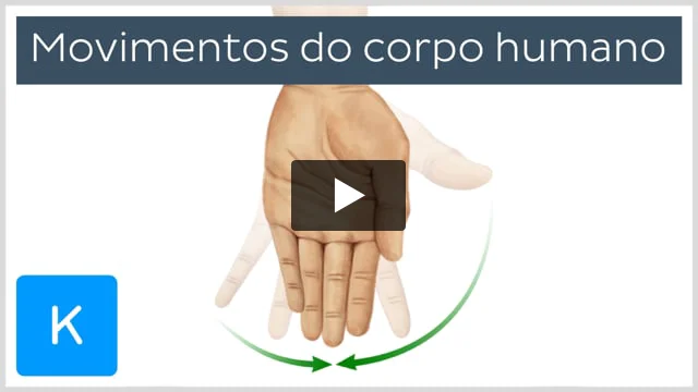 Corpo Humano Dificil