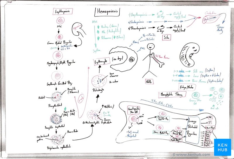 "Flow-based notes"