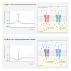 Postsynaptic potentials