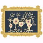 Neurons