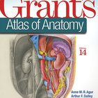Grant’s Atlas of Anatomy: Review