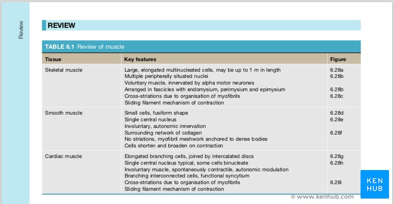 Wheater's Functional Histology - Review Table