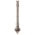 Columna vertebral