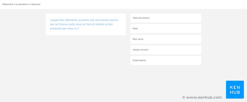 Quiz basé sur la banque de questions Kenhub