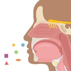 Olfaction