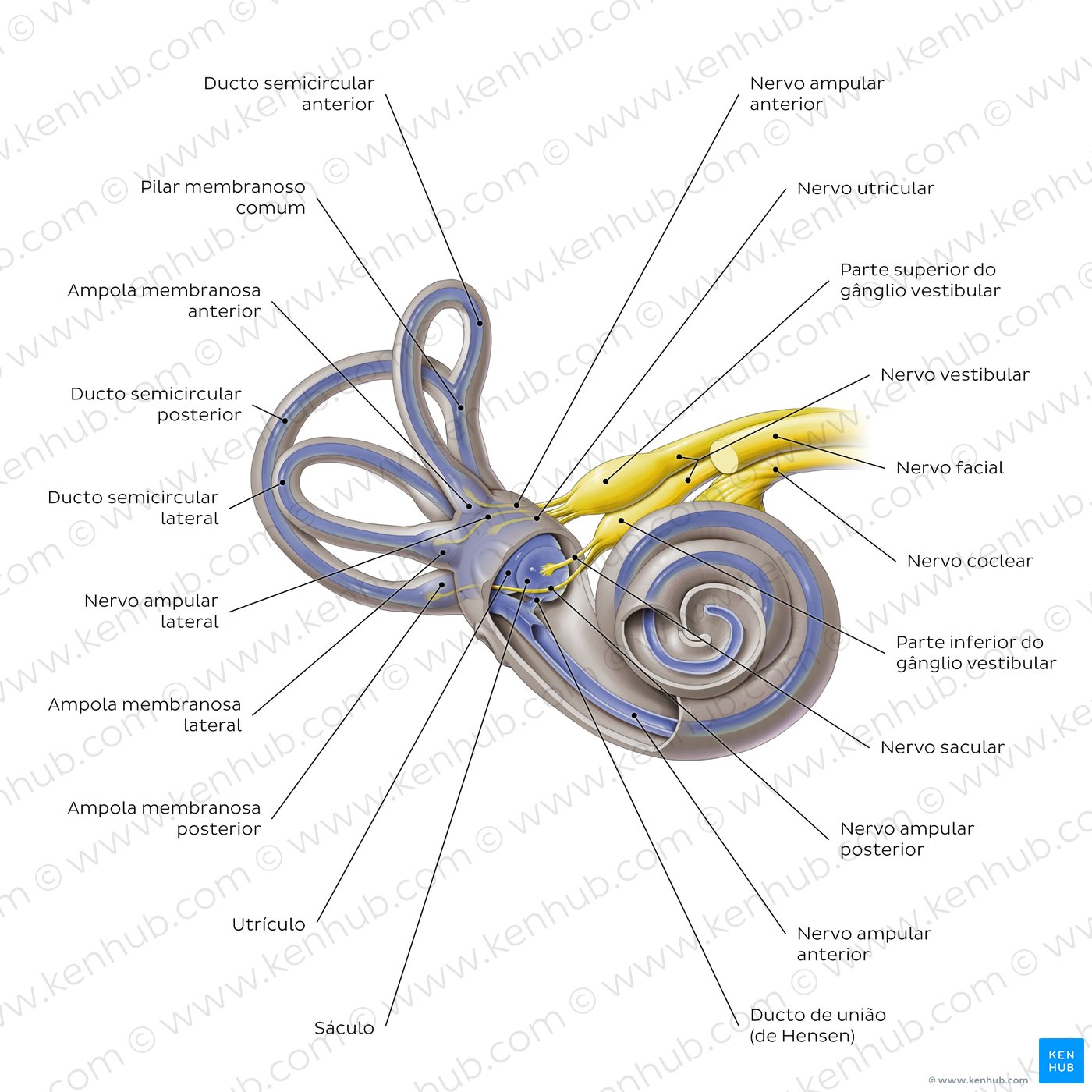 Visualização geral do labirinto