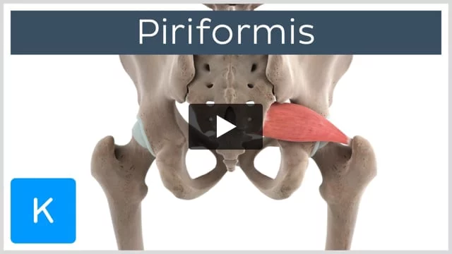Piriformis Syndrome Test - Is Piriformis Your Pain Source?