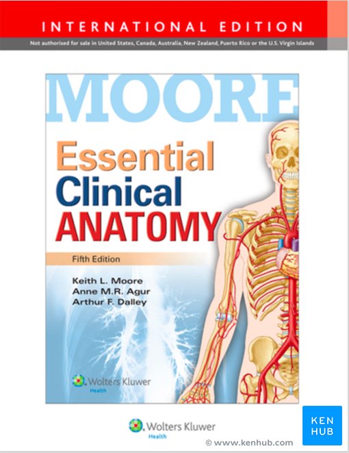 Moore's Clinically Oriented Anatomy: Review | Kenhub