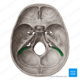 Sulcus sinus sigmoidei ossis temporalis (Graben des s-förmigen Blutleiters); Bild: Yousun Koh