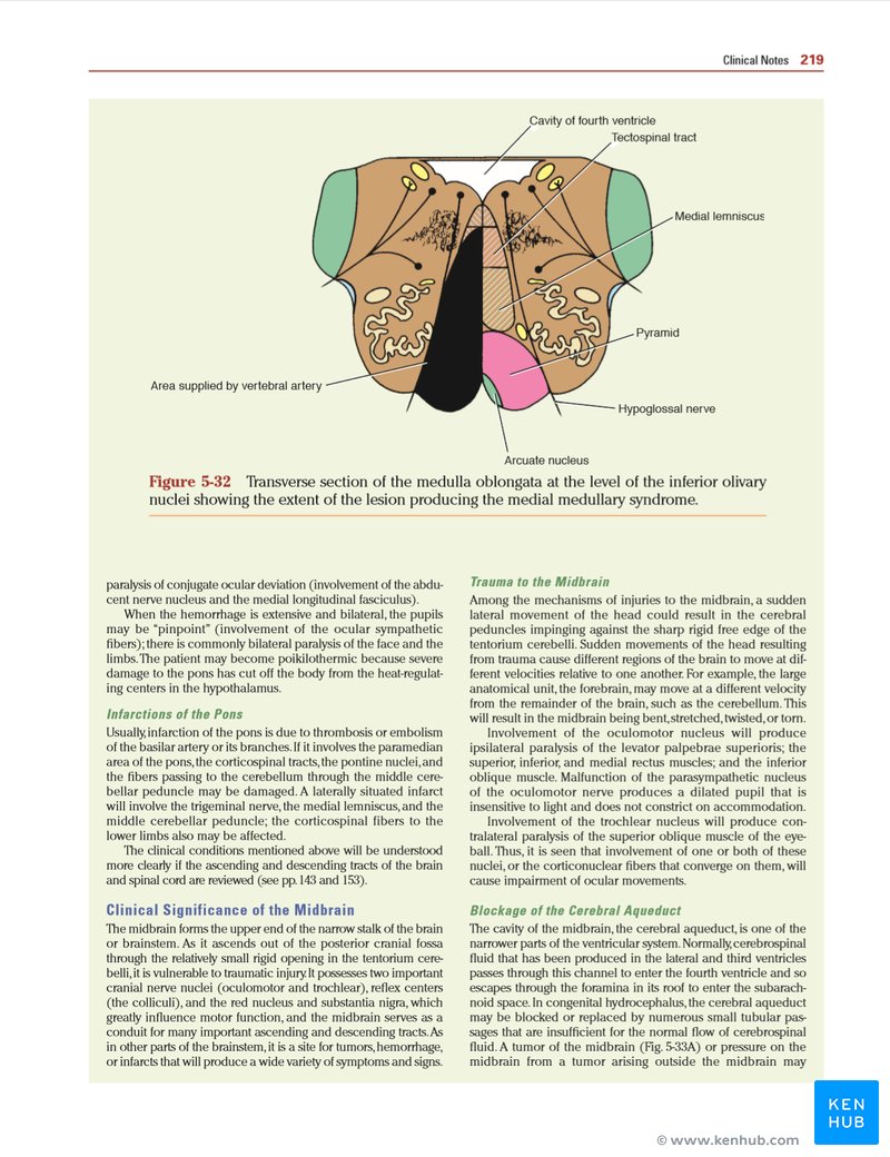 Snell's Clinical Neuroanatomy - Clinical Boxes Sample