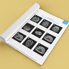 Arbeitsblatt: Radiologie mit einem MRT-Quiz lernen