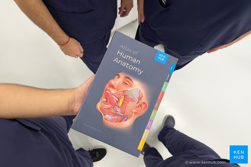 Kenhub Atlas in the Anatomy Lab