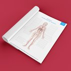 Cardiovascular system diagrams, quizzes and free worksheets