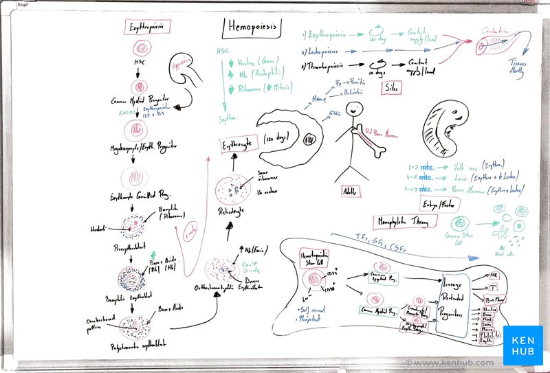 Flow-based notes