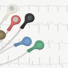 Anatomische Diagnostik - Elektrokardiogramm (EKG)