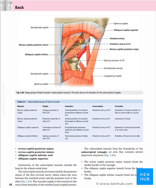 Gray's Anatomy for Students - Sample