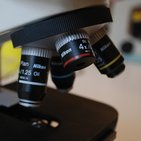How to examine histology slides