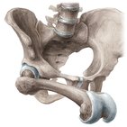 Types of joints