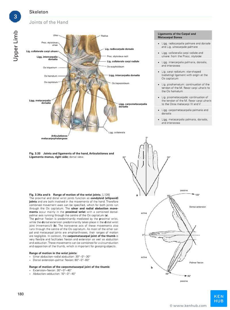 Sobotta Atlas of Human Anatomy - Sample page