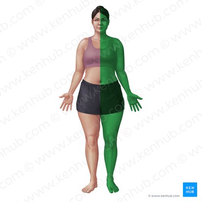 Left (Sinister); Image: Paul Kim