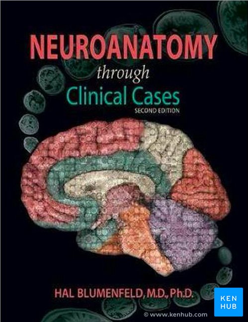 Neuroanatomy through clinical cases 2nd edition - Cover