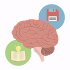 Learning and memory