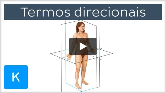 Raio-X corpo feminino masculino humano. Conceito de anatomia