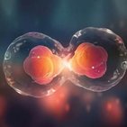 I want to cancel my Premium subscription