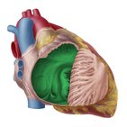 Tachycardia