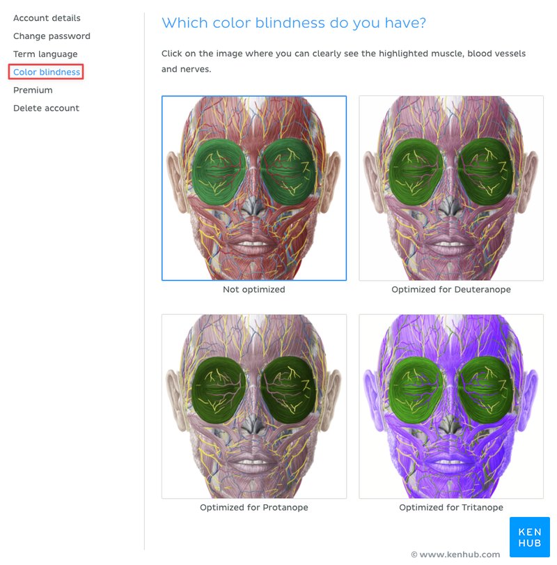 Screenshot of the 4 color blind settings at Kenhub