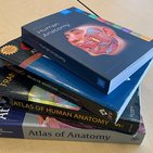 How to choose the best anatomy atlas