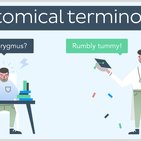 Medical terminology course