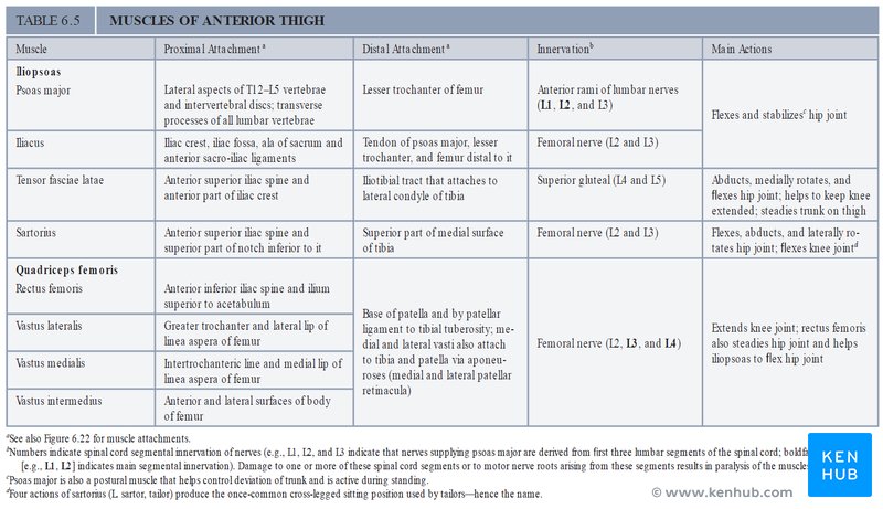 Grant's Atlas of Anatomy - Summary table sample