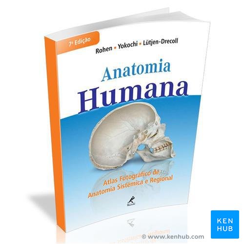 Atlas fotográfico de anatomia sistêmica e regional