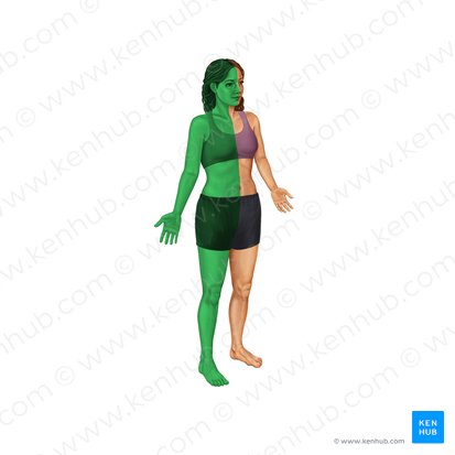 Right (Dexter); Image: Irina Münstermann