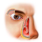Aparelho lacrimal