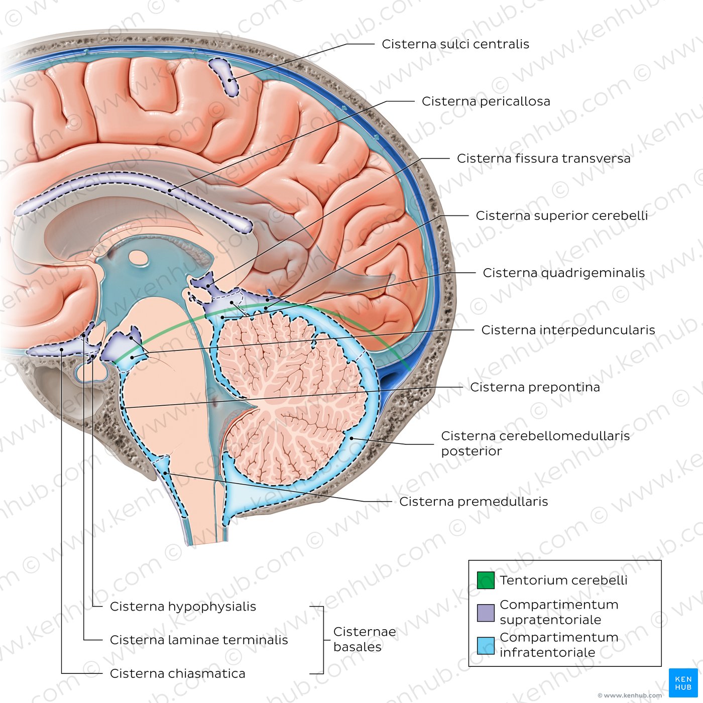 Subarachnoidale Zisternen (Sagittal)