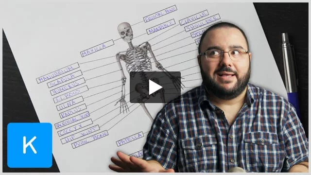 Cross check worksheet.  Download Scientific Diagram