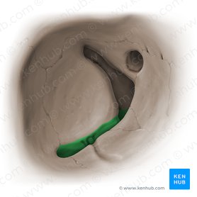 Inferior orbital fissure (Fissura orbitalis inferior); Image: Paul Kim