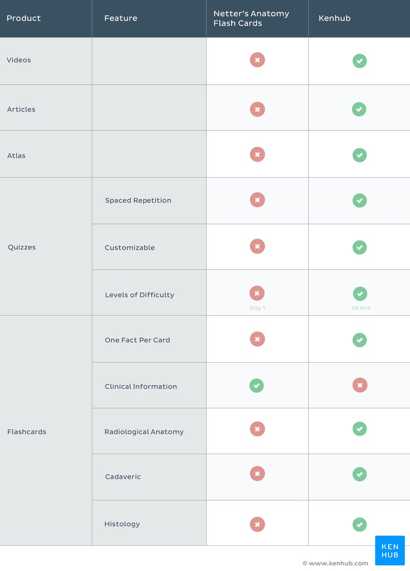 Netter's Anatomy Flash Cards vs. Kenhub