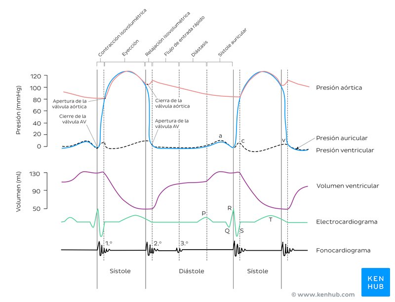 Diagrama de Wiggers