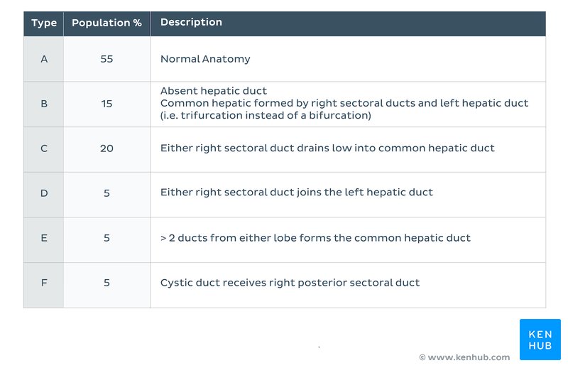 Blumgart’s Classification of Right Hepatic Duct Variations