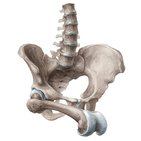 How to memorize bony landmarks