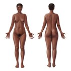 Body surface anatomy